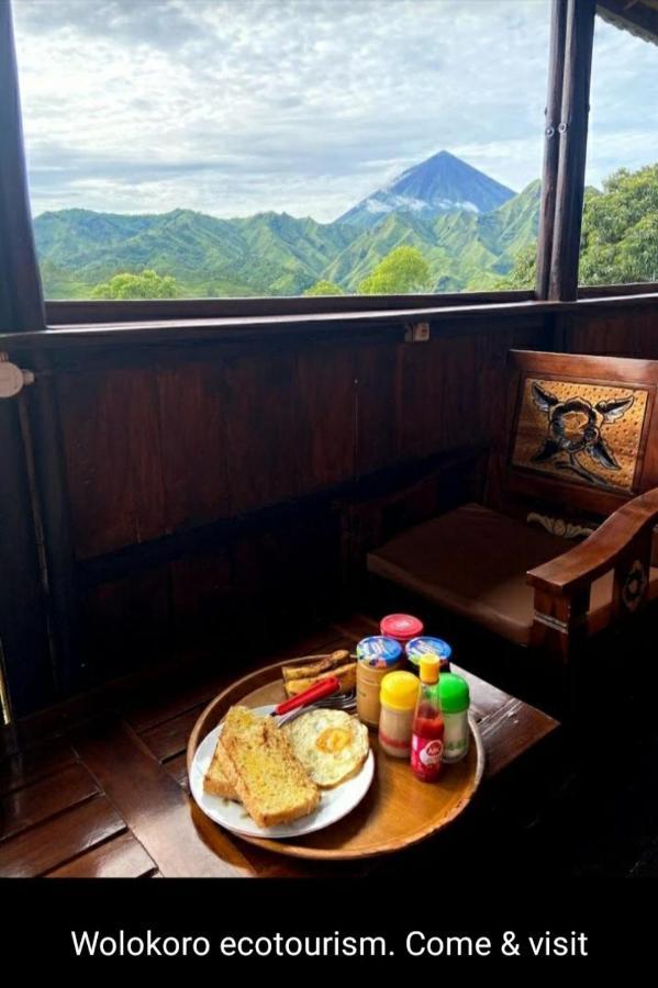 Home Stay Wolokoro Ecotourism Bajawa Exteriér fotografie