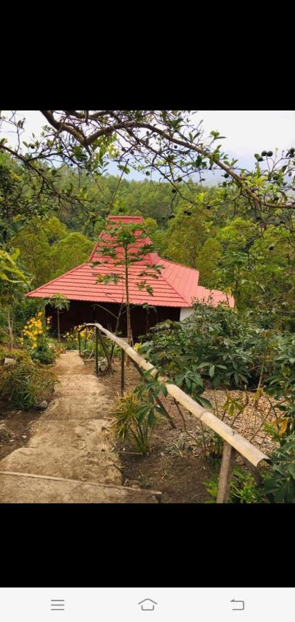 Home Stay Wolokoro Ecotourism Bajawa Exteriér fotografie