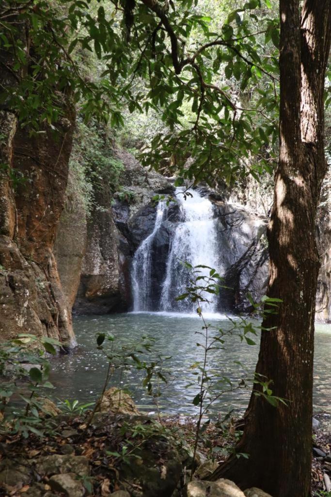 Home Stay Wolokoro Ecotourism Bajawa Exteriér fotografie