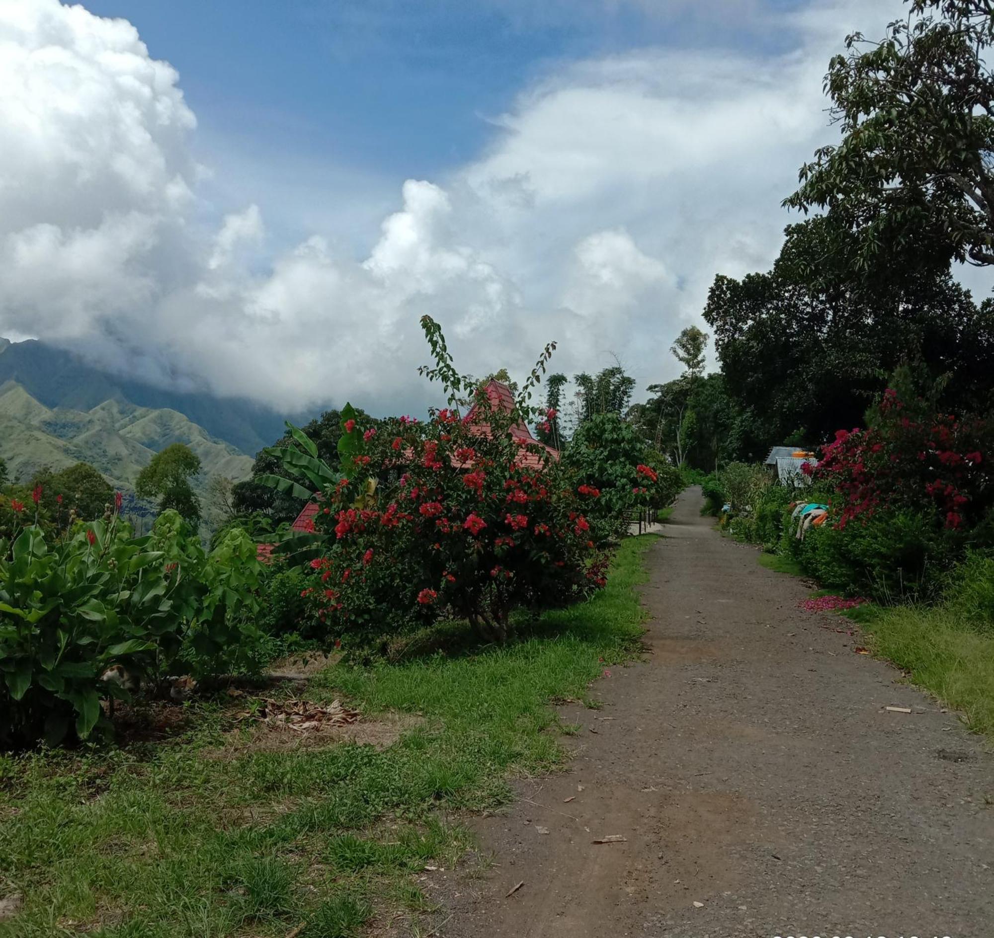 Home Stay Wolokoro Ecotourism Bajawa Pokoj fotografie